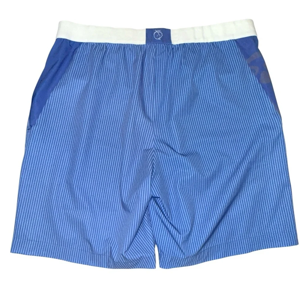 Remington Reynolds Men’s Hybrid Active Shorts Blue Stripes Size Large